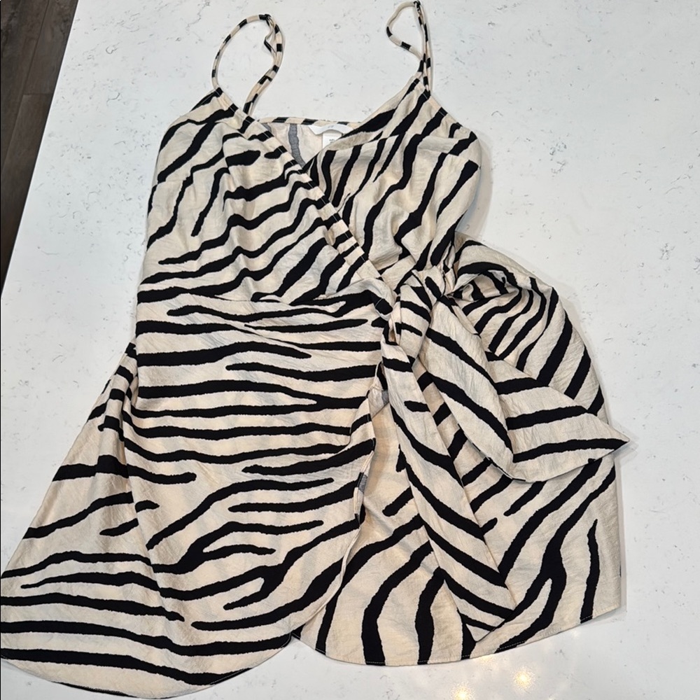H&M Zebra Print Mini Dress - Black and White